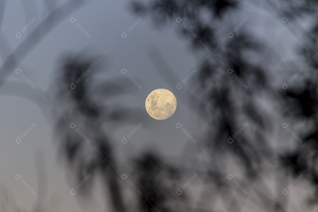 Lua cheia brasileira.