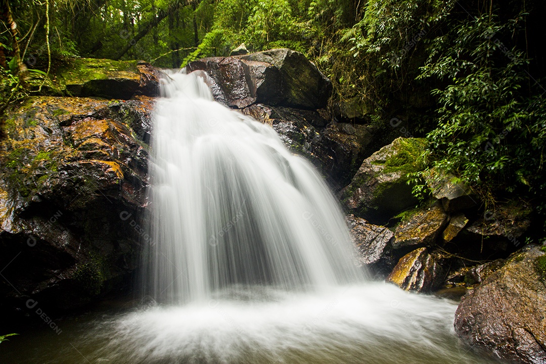 Passe quatro minas gerais brasil.