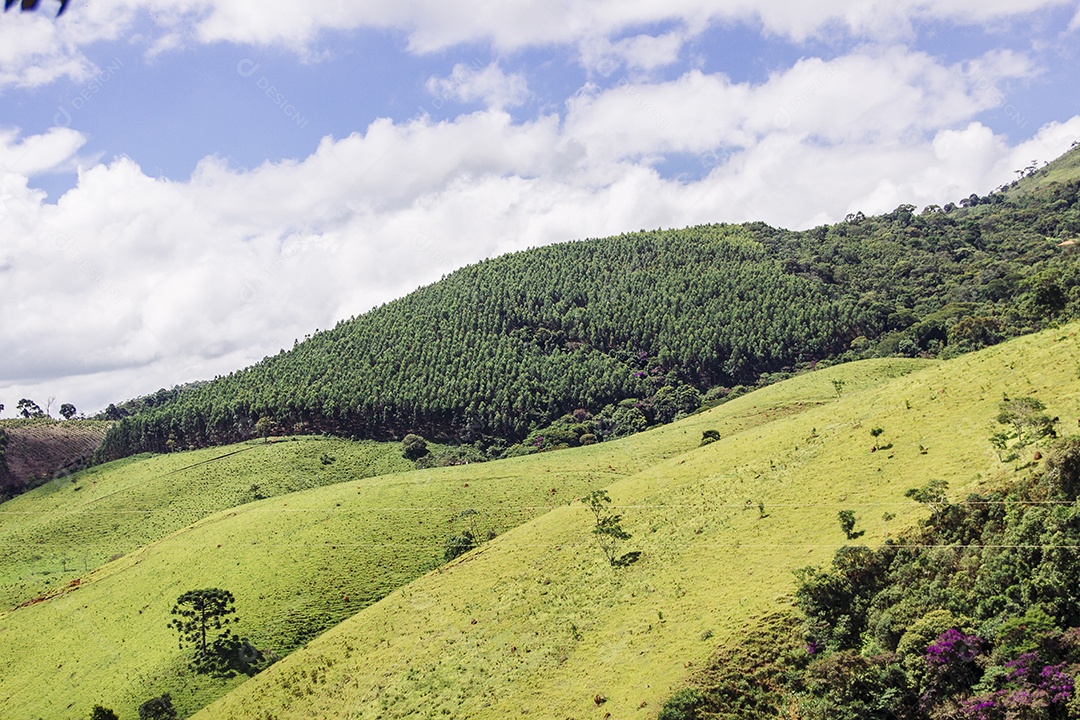 Passe quatro minas gerais brasil.