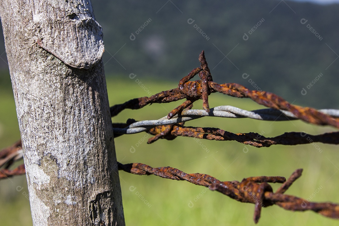 Fio enferrujado pendurado.