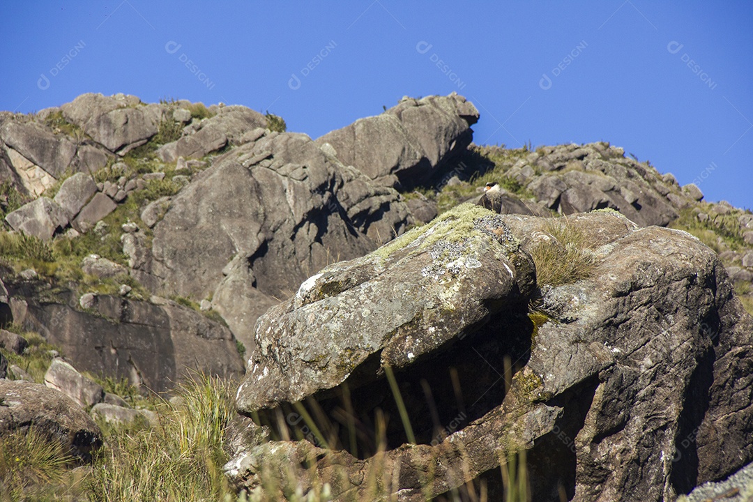 Paisagem pelas trilhas do Itatiaia.