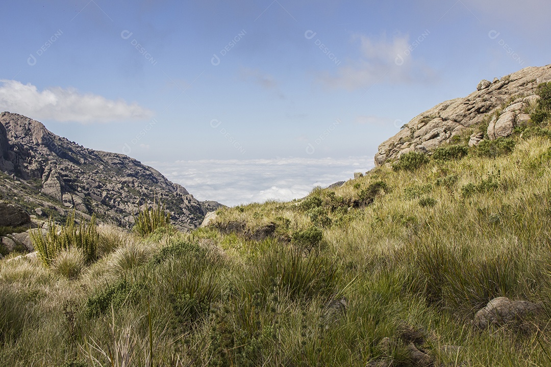 Paisagem pelas trilhas do Itatiaia.