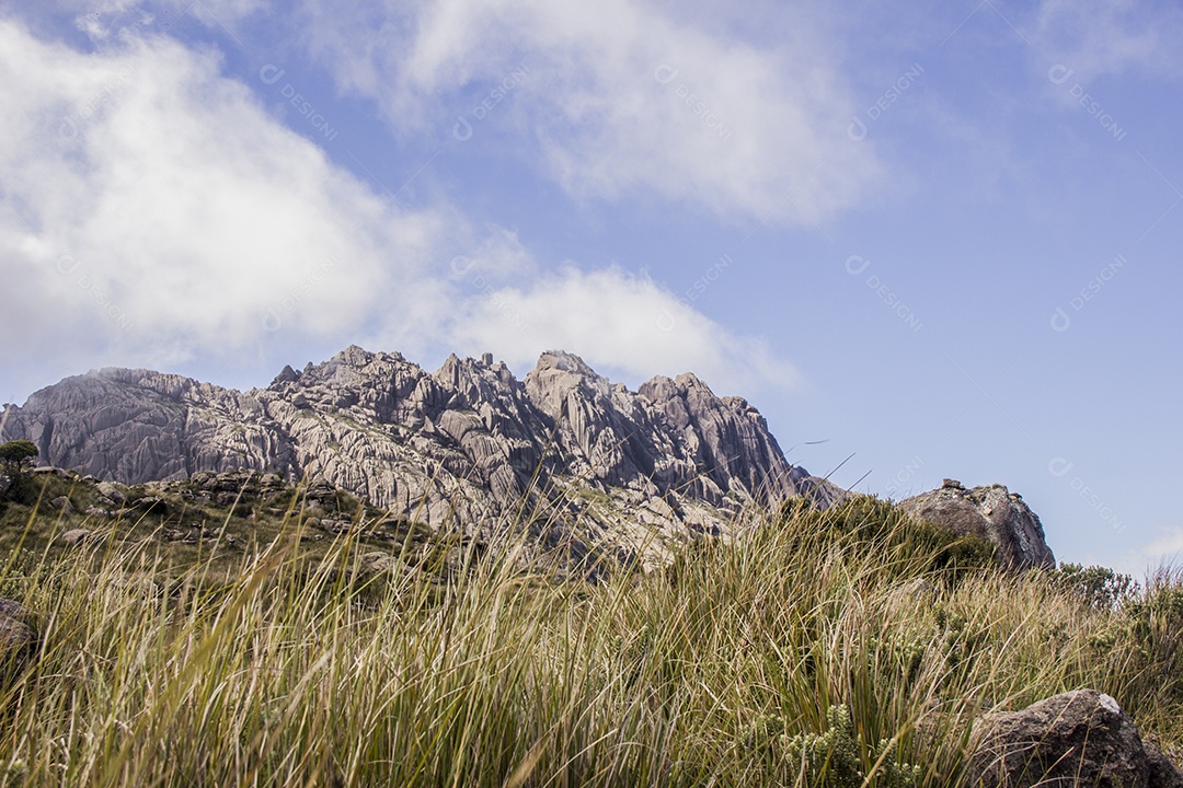 Pico das agulhas pretas Itatiaia.