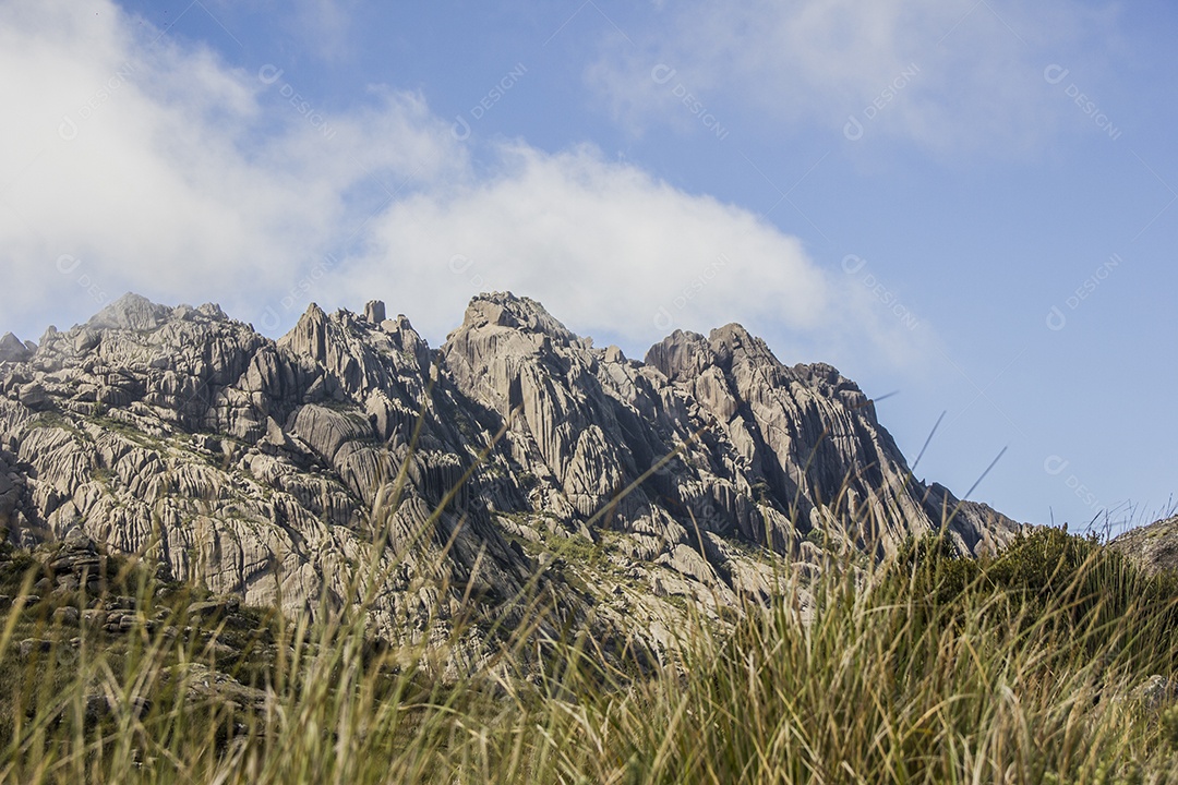 Pico das agulhas pretas Itatiaia.