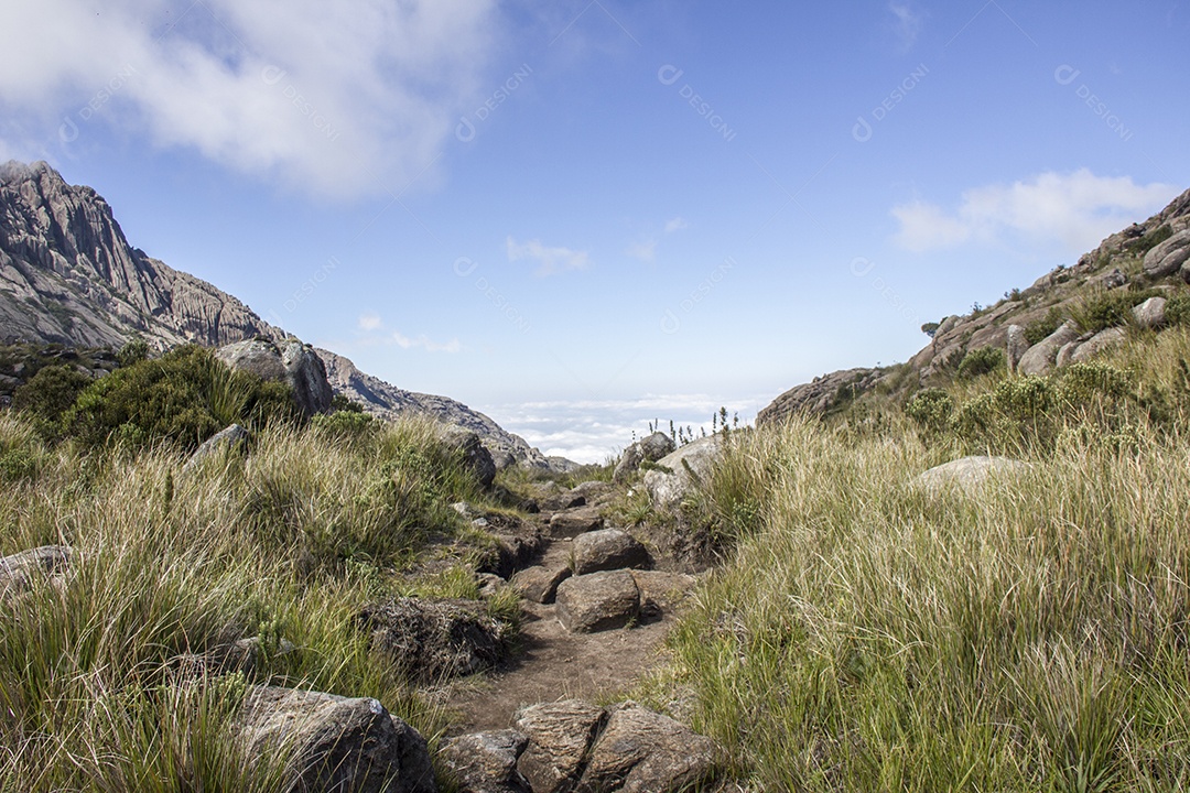 Paisagem pelas trilhas do Itatiaia.
