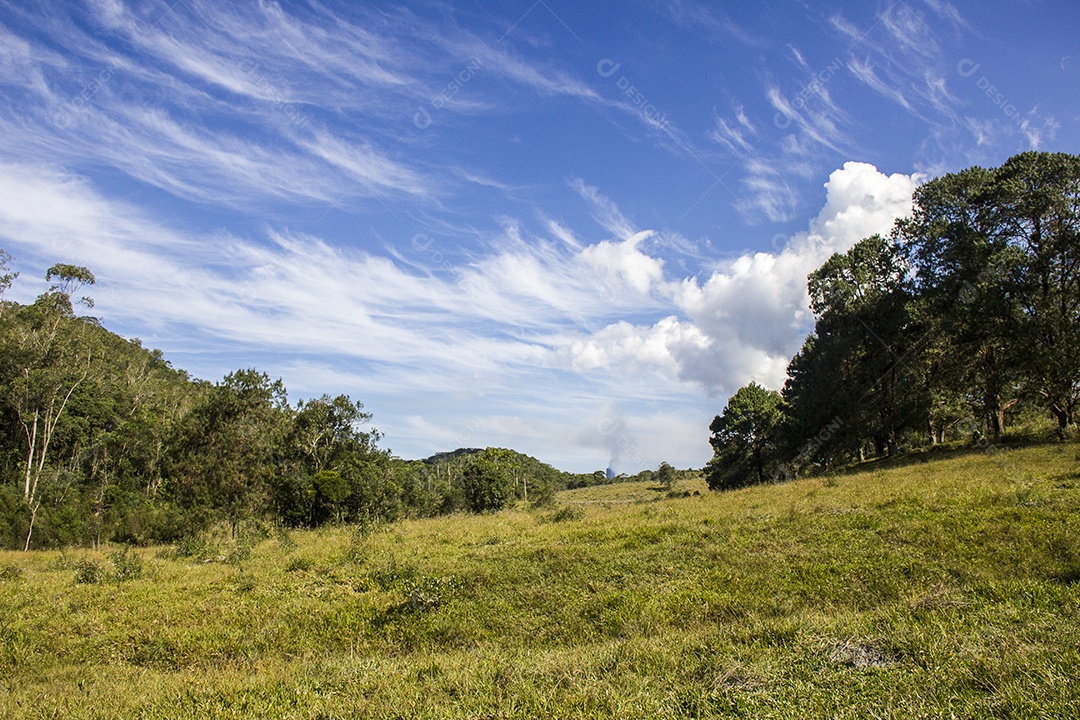 Paisagem lista da trilha da serra da Bocaina.