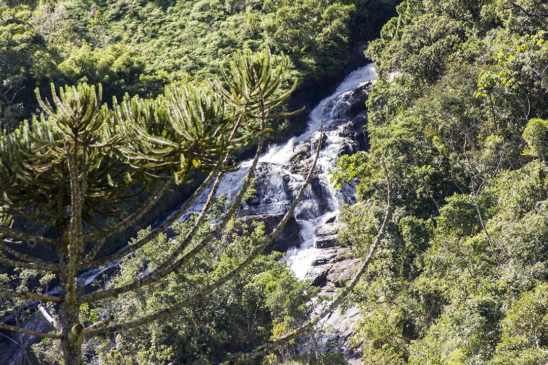 Cachoeira da onça - São Paulo.