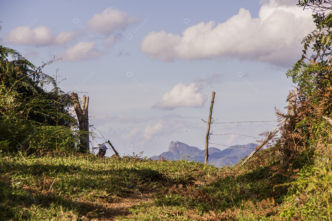 Paisagem pelas trilhas do Itatiaia.