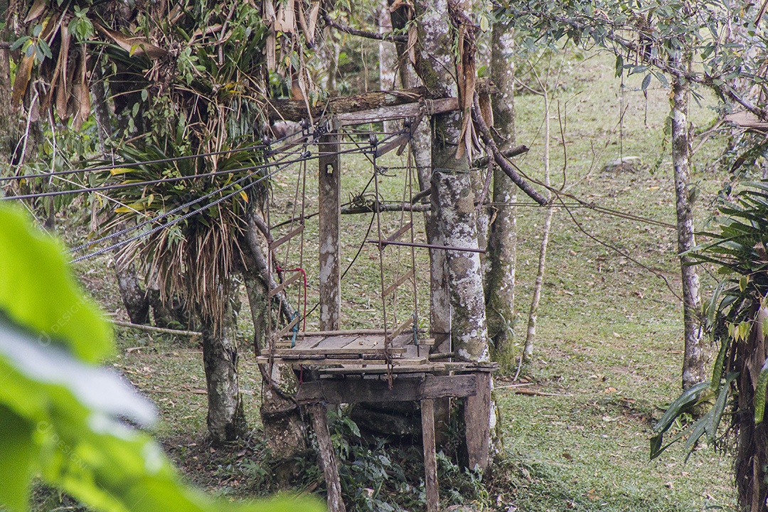 Trilha visual da trilha do ouro na serra da Bocaina.