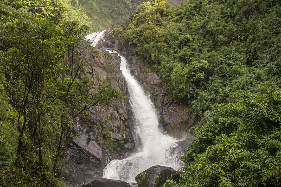 Cachoeira do Veado - Serra da Bocaina.