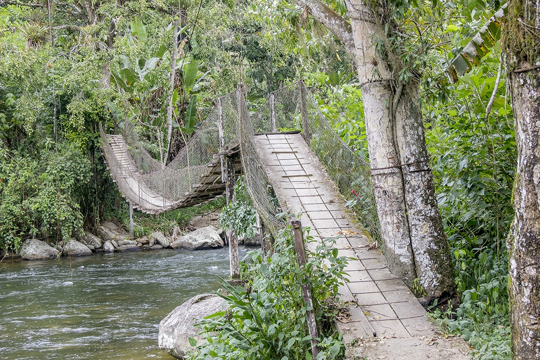 Trilha visual da trilha do ouro na serra da Bocaina.