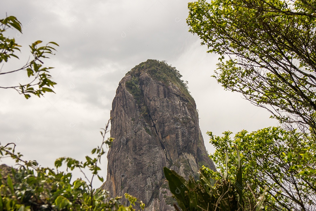 Trilha de pedra tronco em São Paulo.