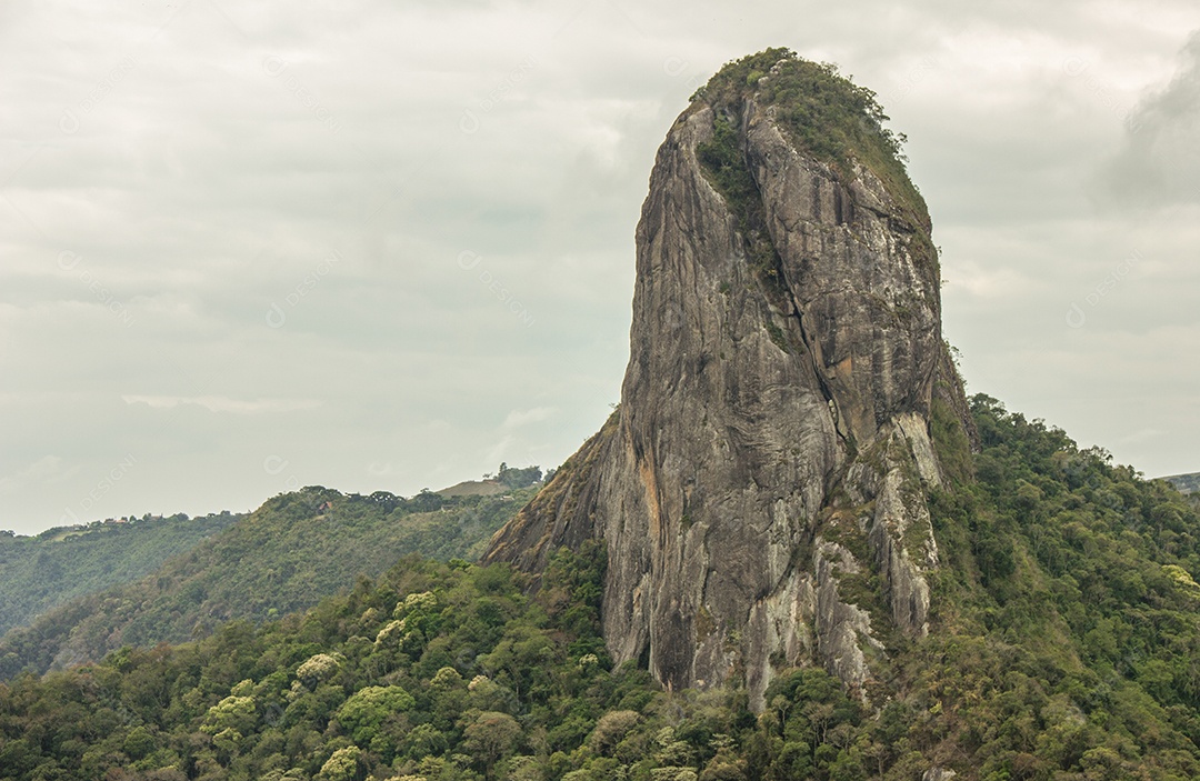 Trilha de pedra tronco em São Paulo.