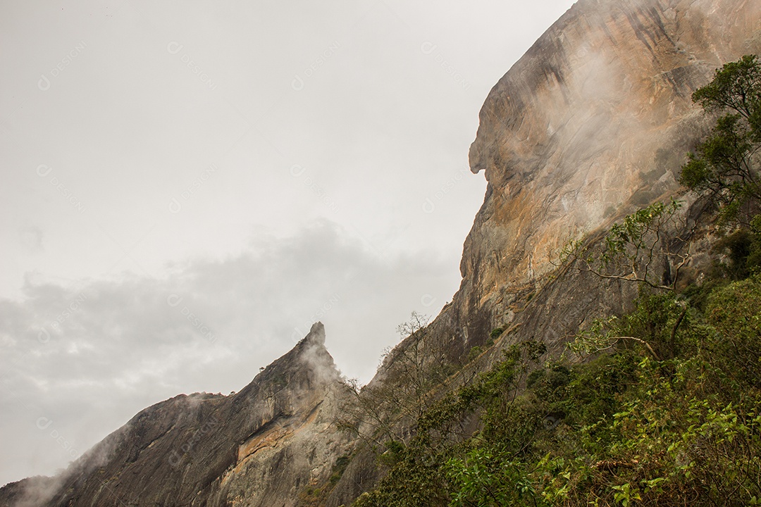 Trilha de pedra tronco em São Paulo.