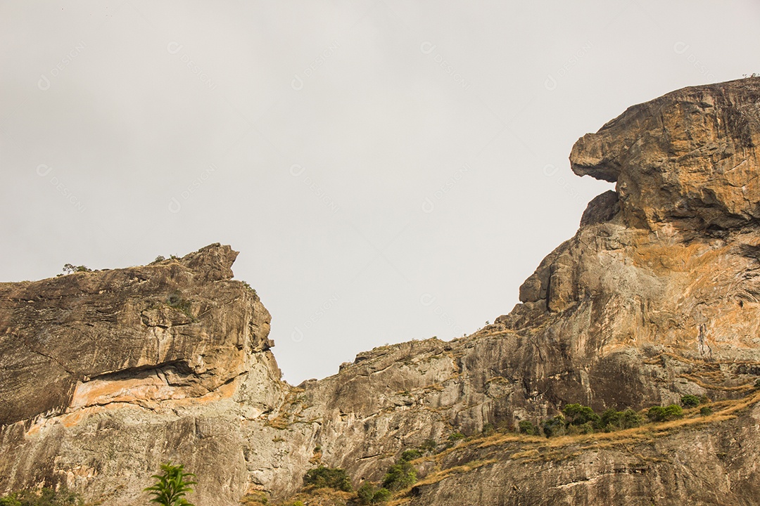 Trilha de pedra tronco em São Paulo.