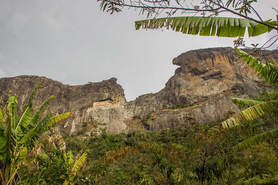 Trilha de pedra tronco em São Paulo.