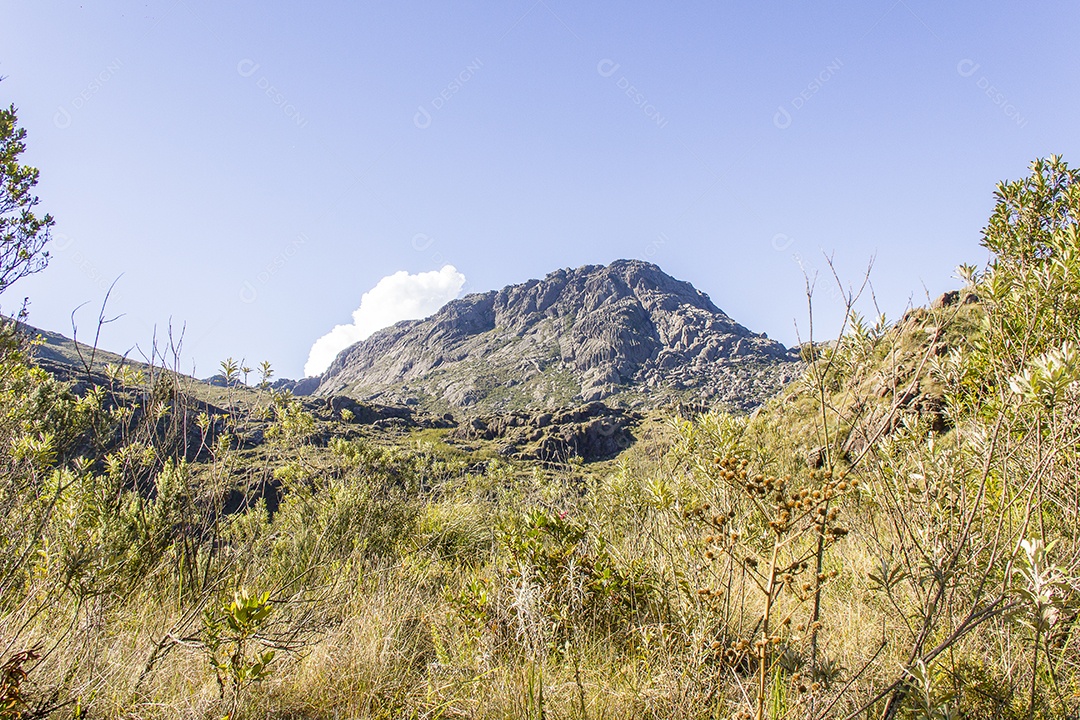 Pico das agulhas pretas Itatiaia.