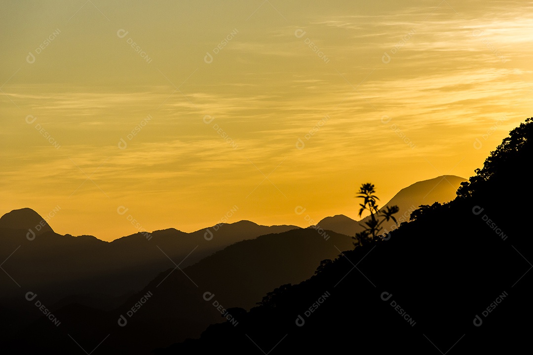 Trilha visual para seio de mulher em Teresópolis.