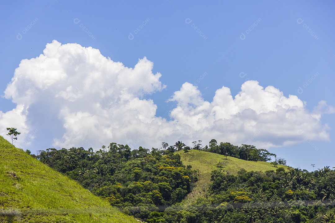 Trilha visual do piloto x serra mazomba no Rio de Janeiro.