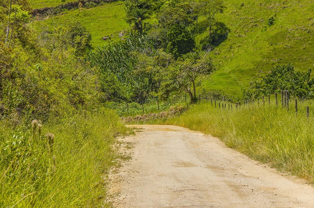 Trilha visual do piloto x serra mazomba no Rio de Janeiro.