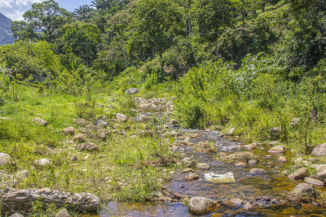 Trilha visual do piloto x serra mazomba no Rio de Janeiro.