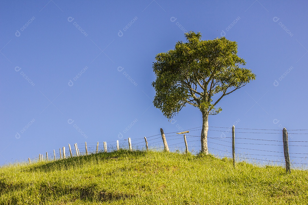 Trilha visual do piloto x serra mazomba no Rio de Janeiro.