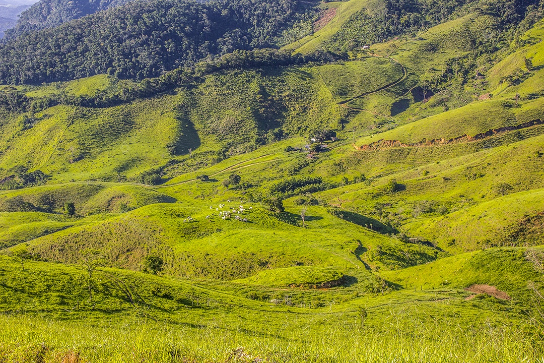 Trilha visual do piloto x serra mazomba no Rio de Janeiro.