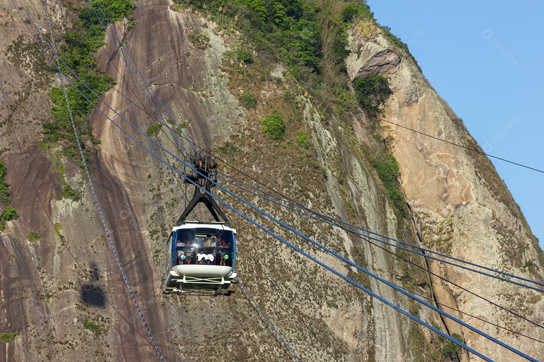 Trilha visual do ouriço.