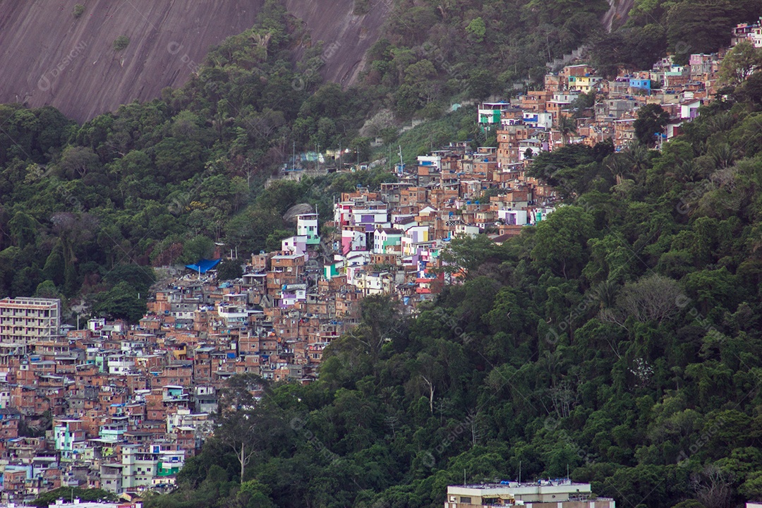 Trilha visual do ouriço.