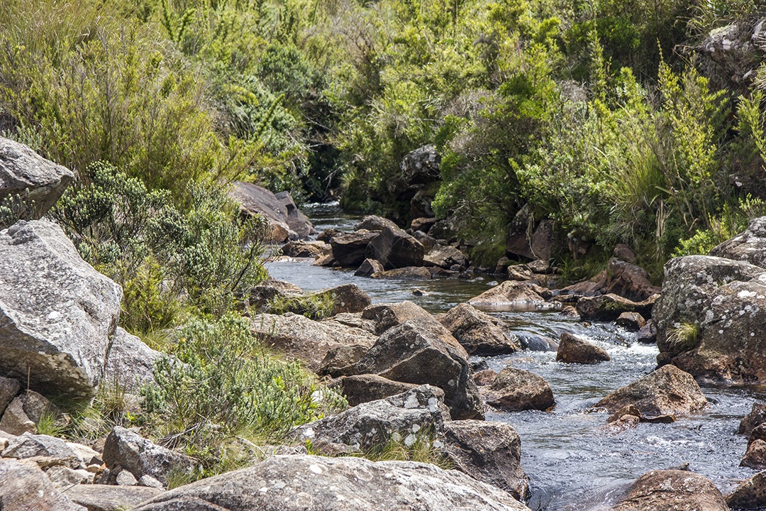Pelas trilhas do Itatiaia.