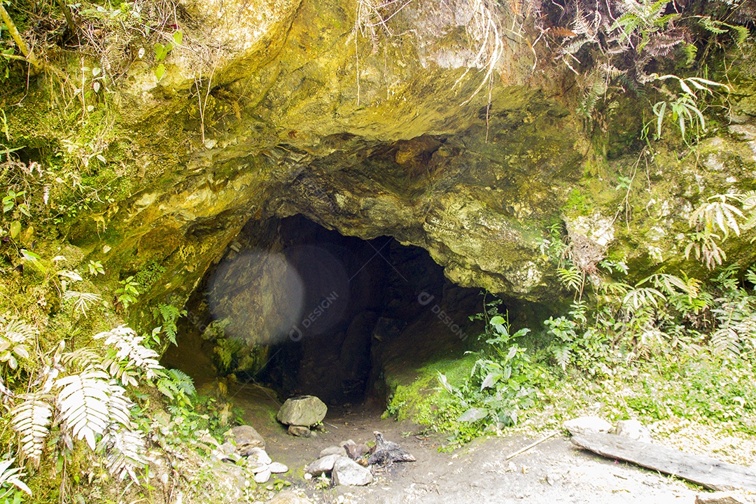 Trilha de montanha fina no Brasil.