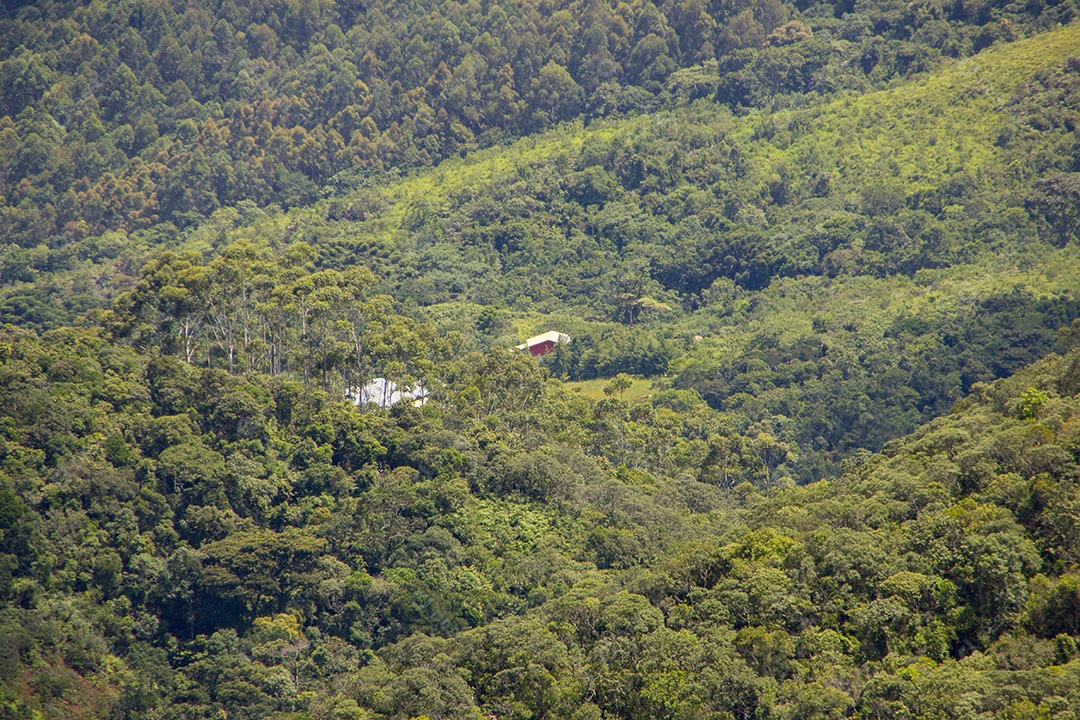 Trilha de montanha fina no Brasil.