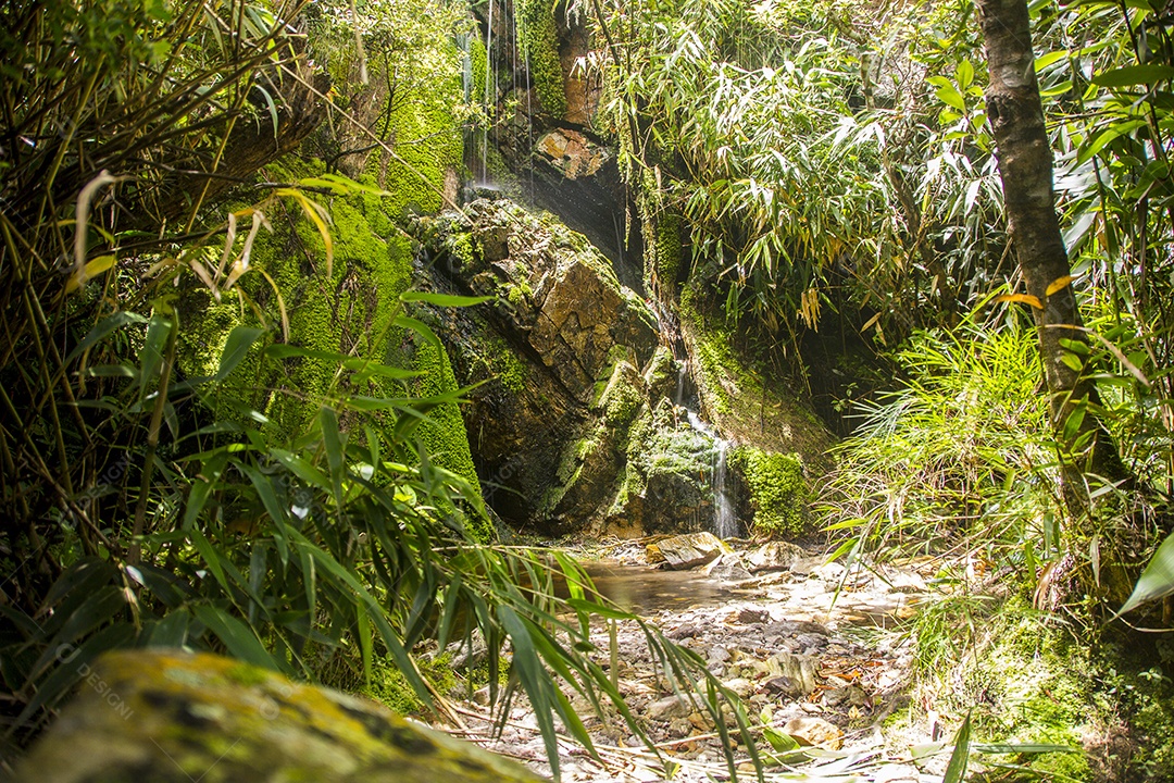 Trilha de montanha fina no Brasil.
