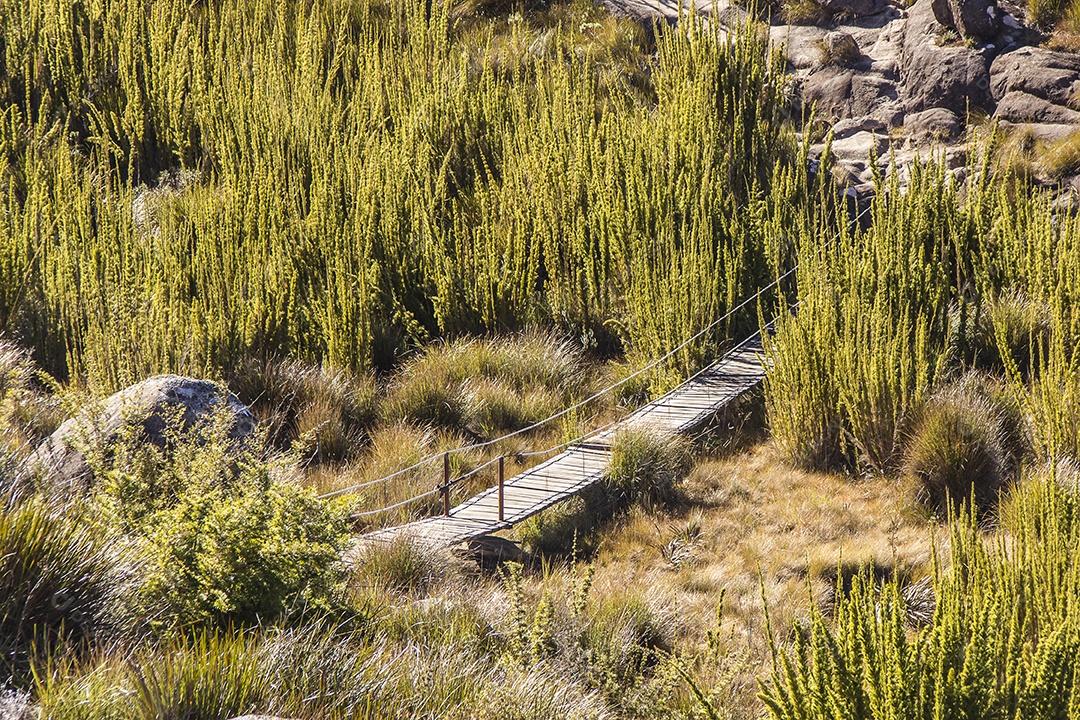 Pelas trilhas do Itatiaia.