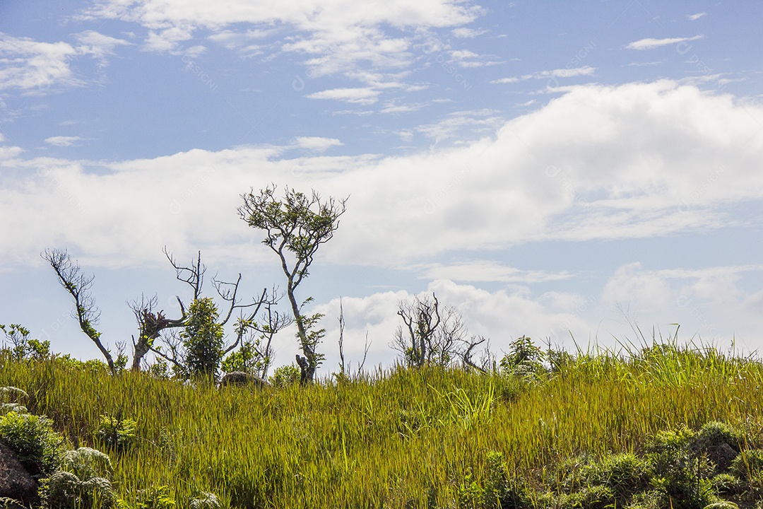 Trilha de pedra de ponto em Rio de Janeiro.