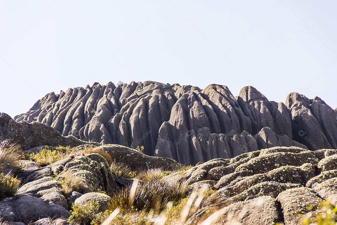 Pico das agulhas pretas Itatiaia.