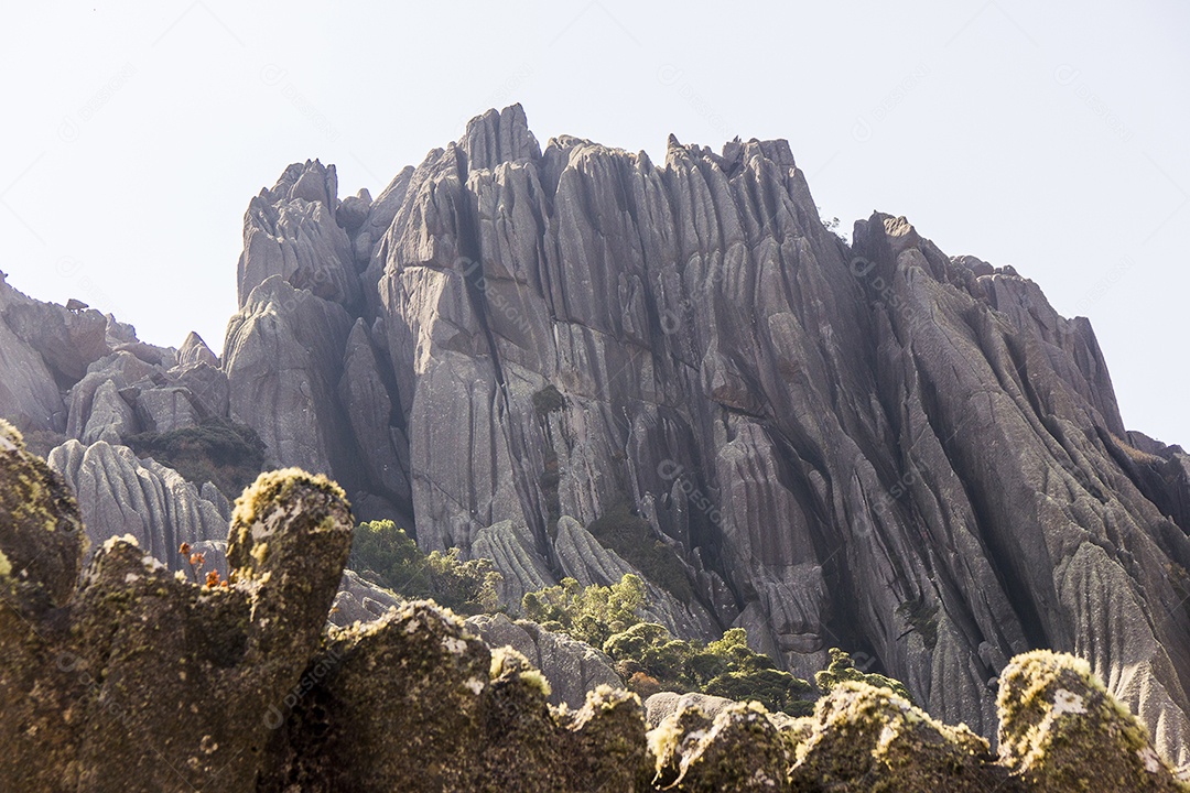 Pico das agulhas pretas Itatiaia.