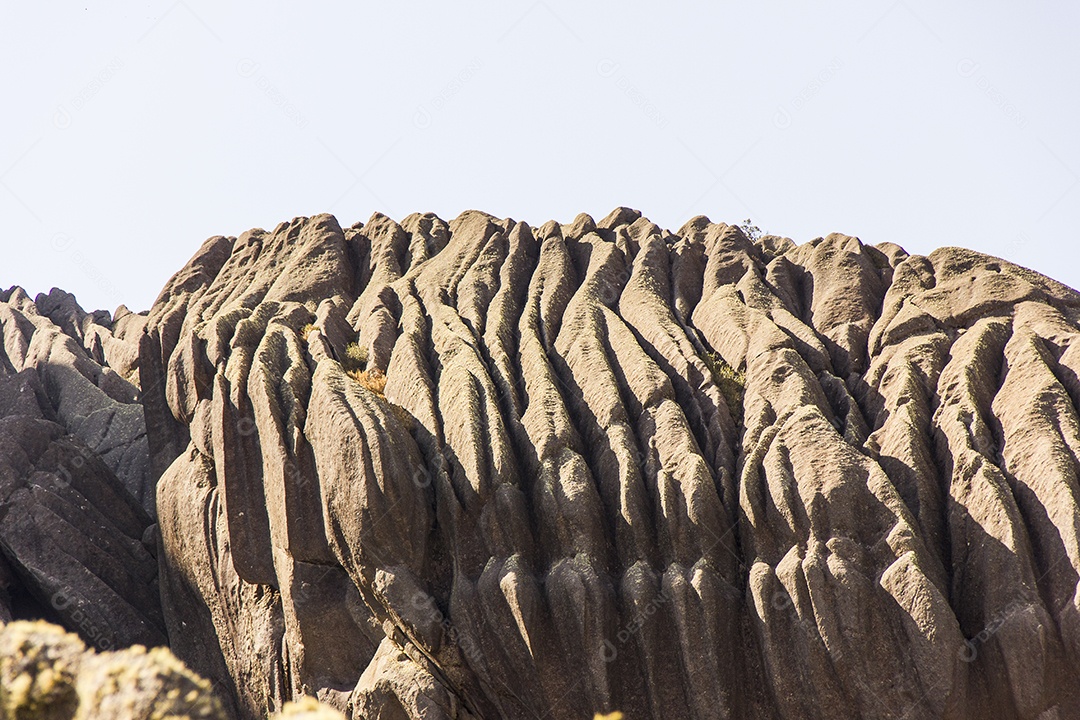 Pico das agulhas pretas Itatiaia.