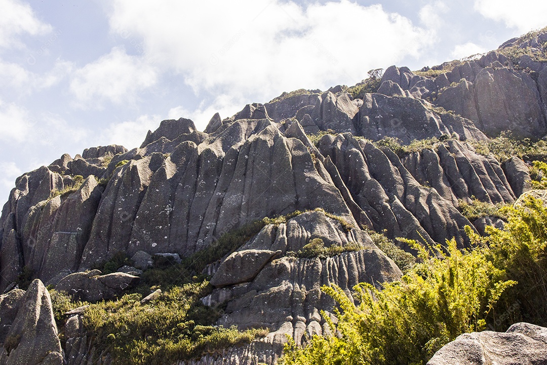 Pico das agulhas pretas Itatiaia.