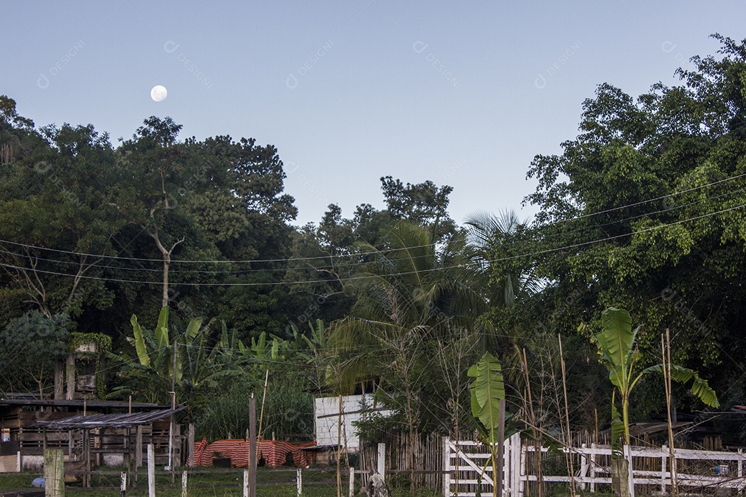 Trilha visual da pedra Itaocaia em Niterói.