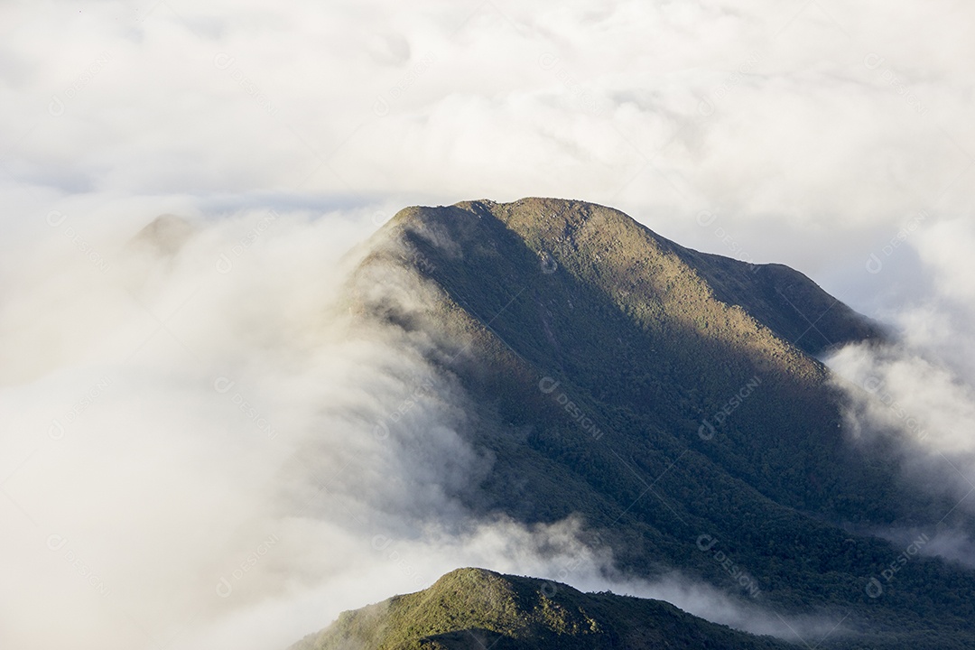Trilha de montanha fina no Brasil.