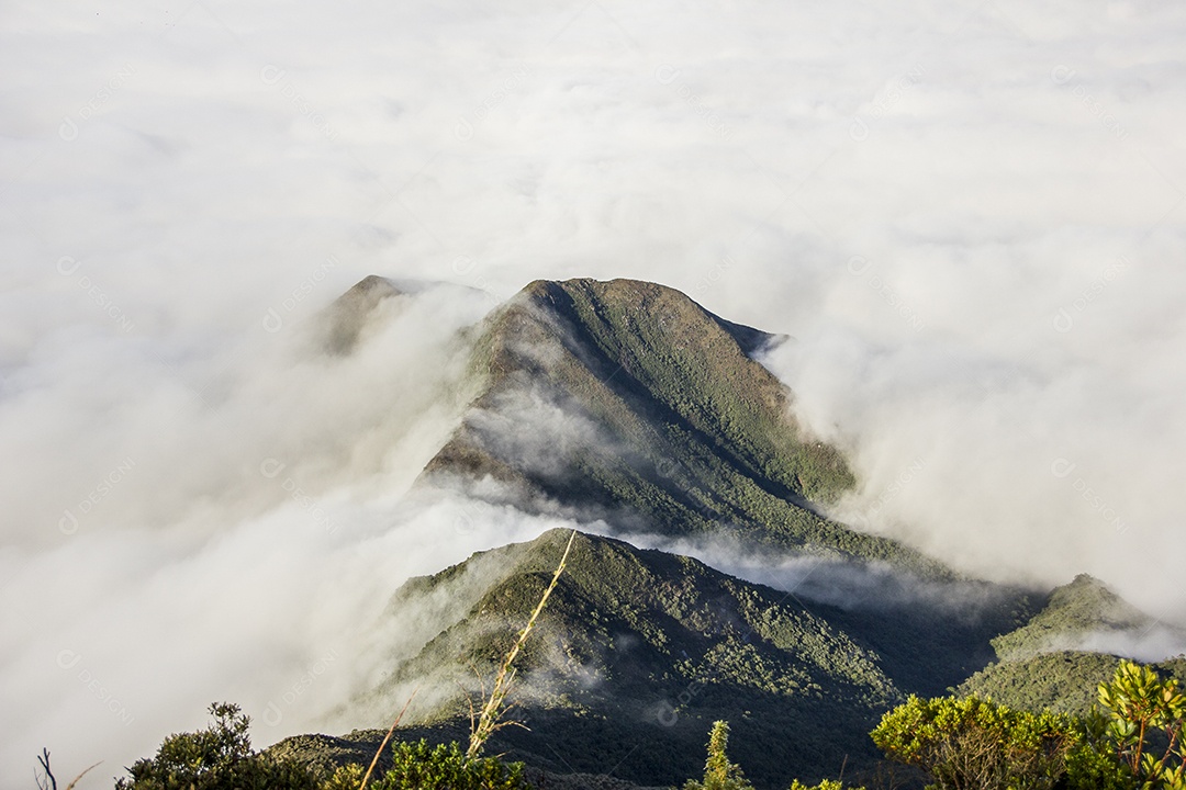 Trilha de montanha fina no Brasil.