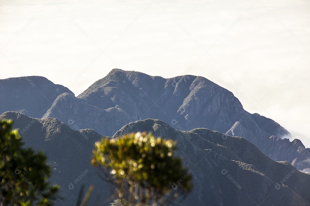 Trilha de montanha fina no Brasil.