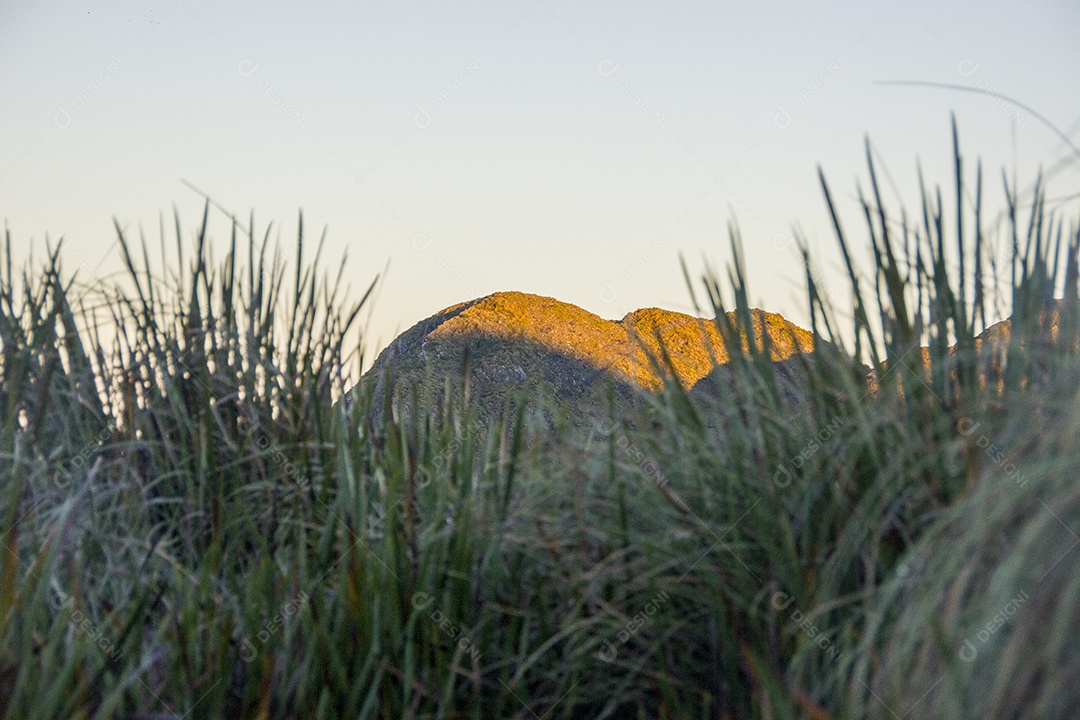 Trilha de montanha fina no Brasil.
