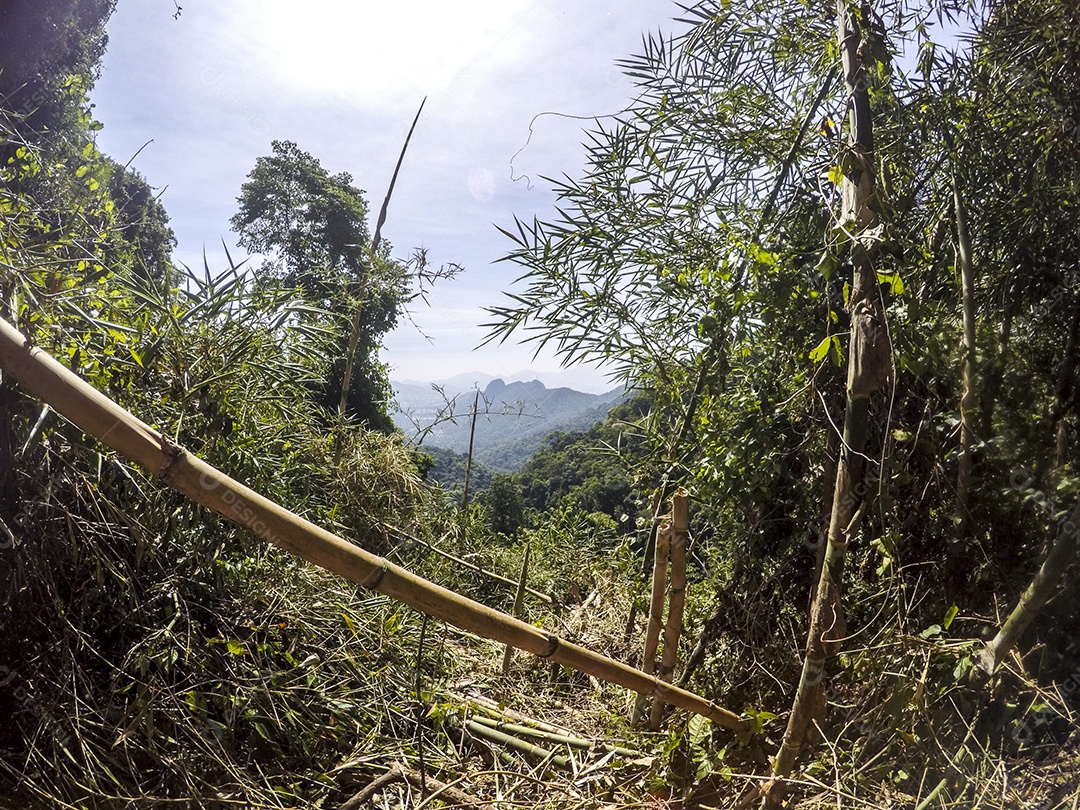 Visual da trilha entre os bairros de Jacarepaguá.