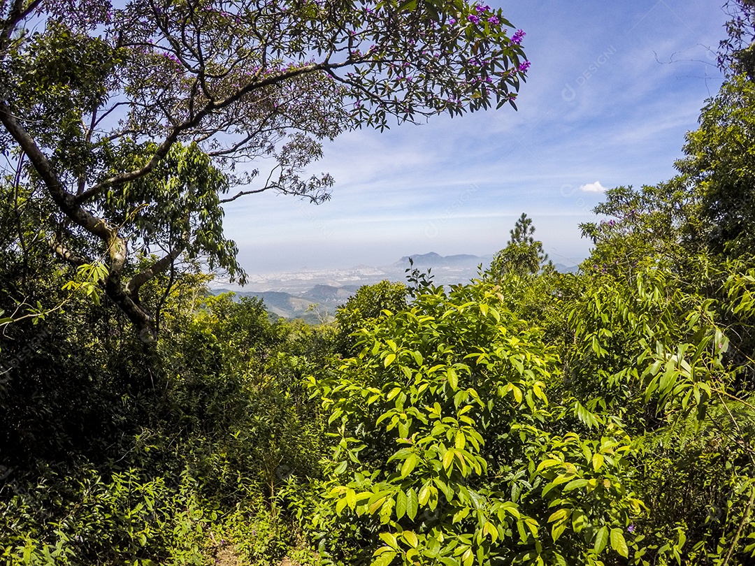 Visual da trilha entre os bairros de Jacarepaguá.