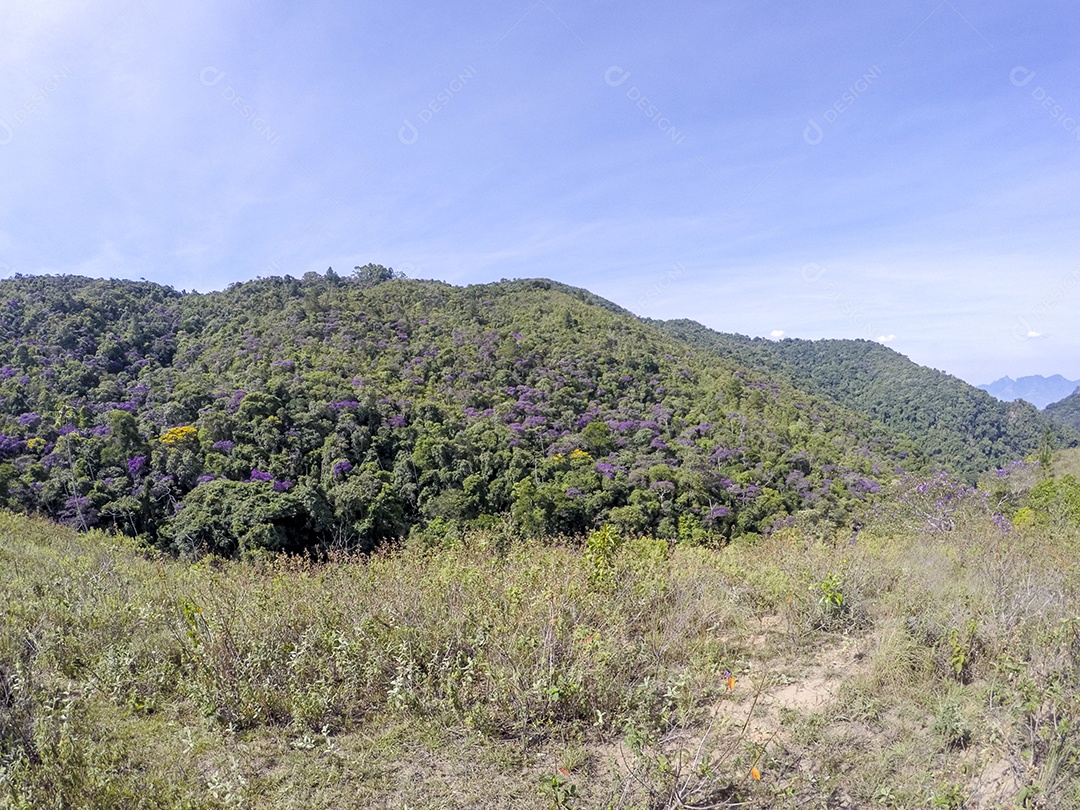 Visual da trilha entre os bairros de Jacarepaguá.