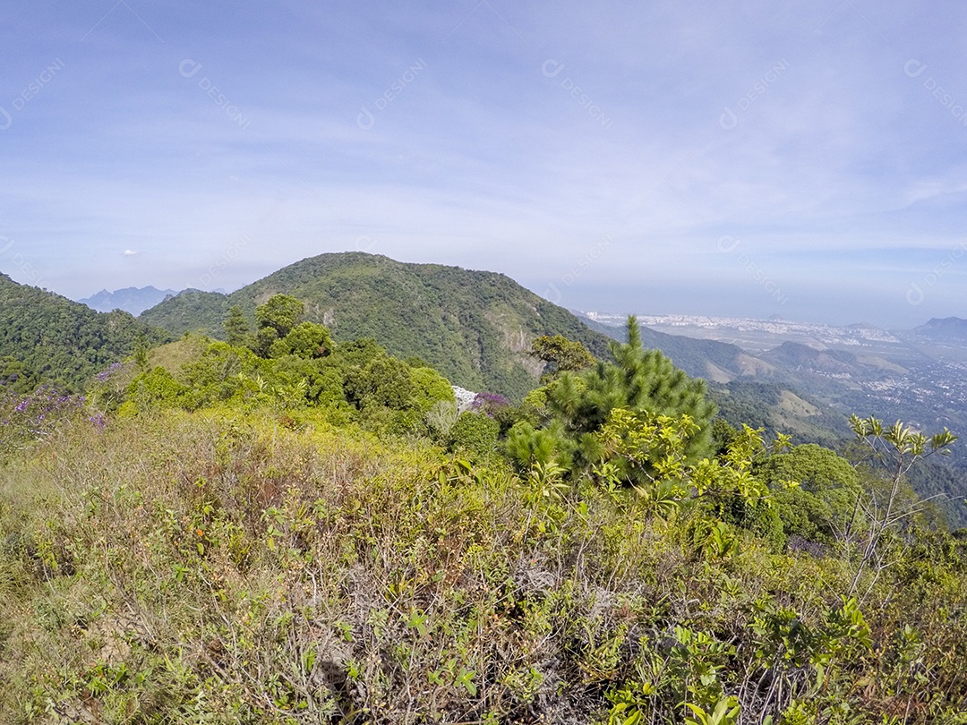 Visual da trilha entre os bairros de Jacarepaguá.