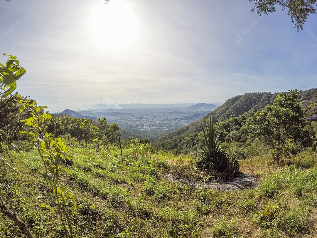 Visual da trilha entre os bairros de Jacarepaguá.
