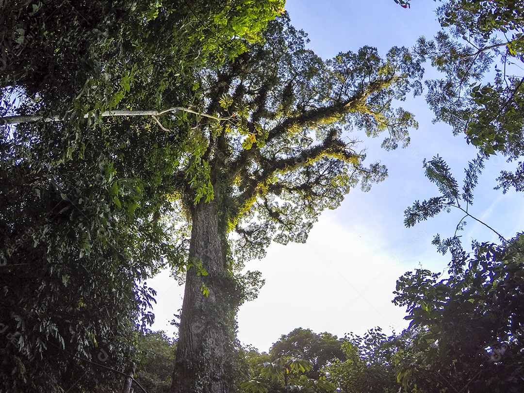 Visual da trilha entre os bairros de Jacarepaguá.